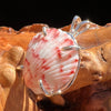 Shell Pendant Sterling Silver Natural Seashell #3464-Moldavite Life