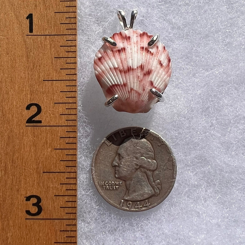 Shell Pendant Sterling Silver Natural Seashell #3464-Moldavite Life