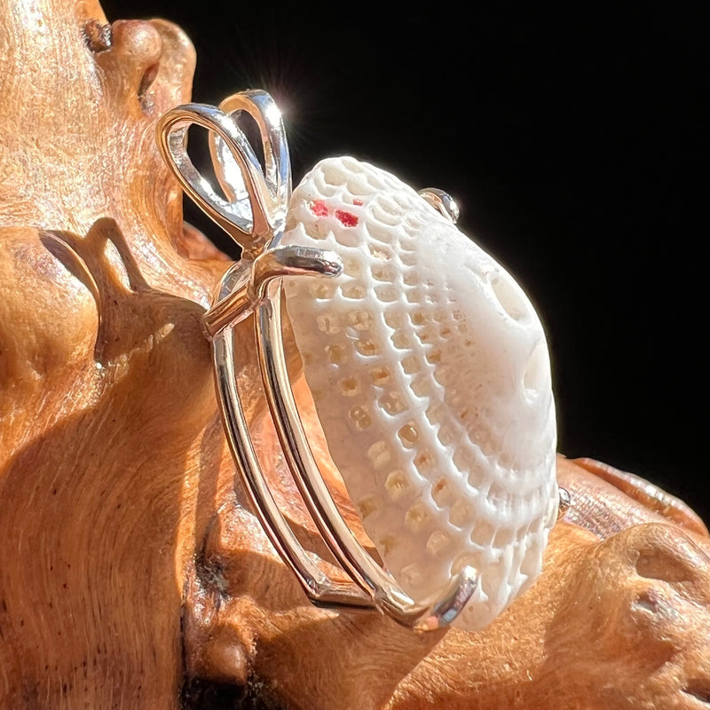 Shell Pendant Sterling Silver Natural Seashell #3465-Moldavite Life