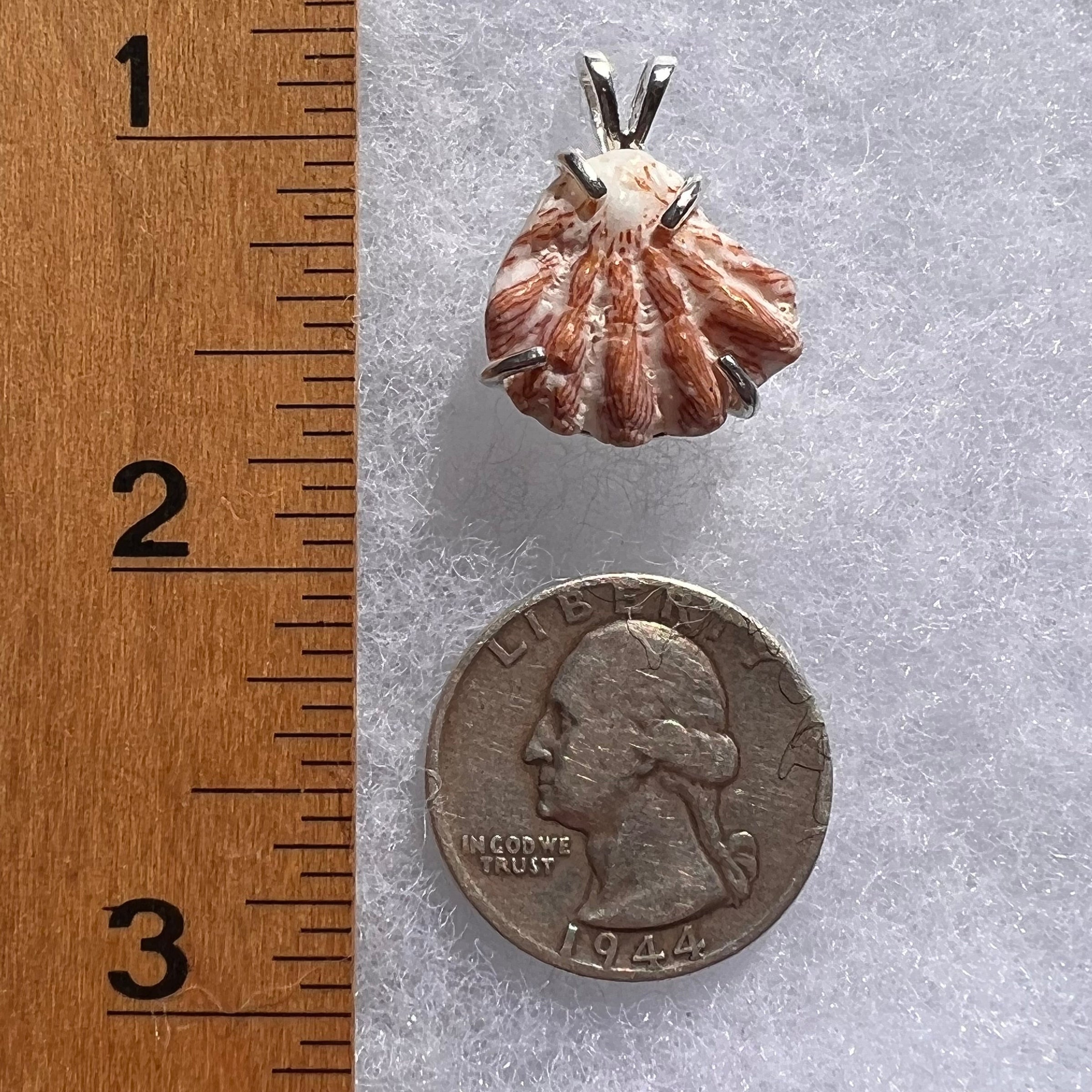 Shell Pendant Sterling Silver Natural Seashell #3467-Moldavite Life