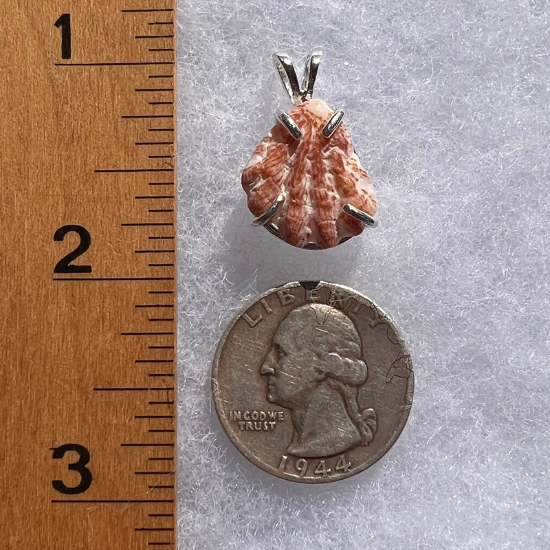 Shell Pendant Sterling Silver Natural Seashell #3468-Moldavite Life