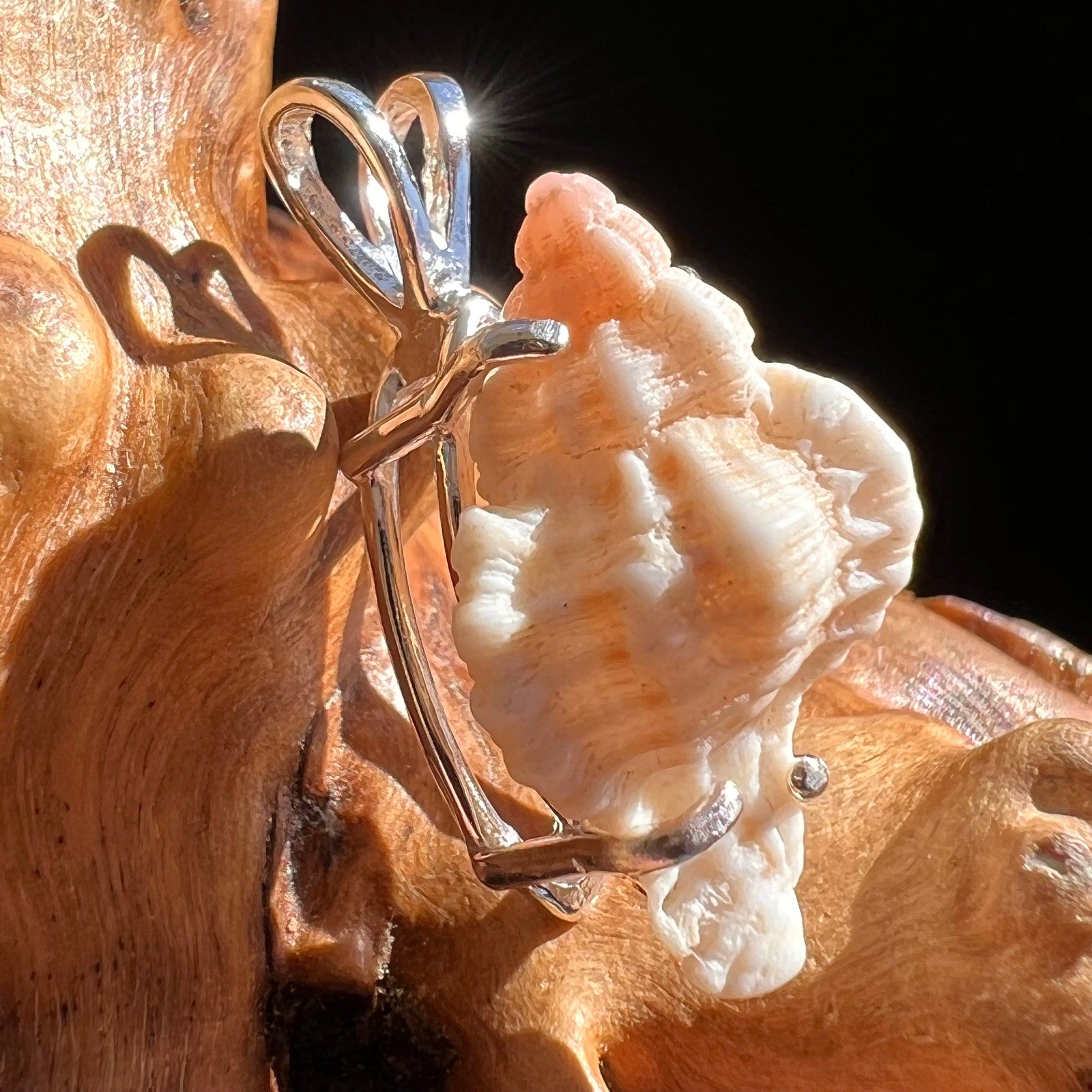 Shell Pendant Sterling Silver Natural Seashell #3469-Moldavite Life