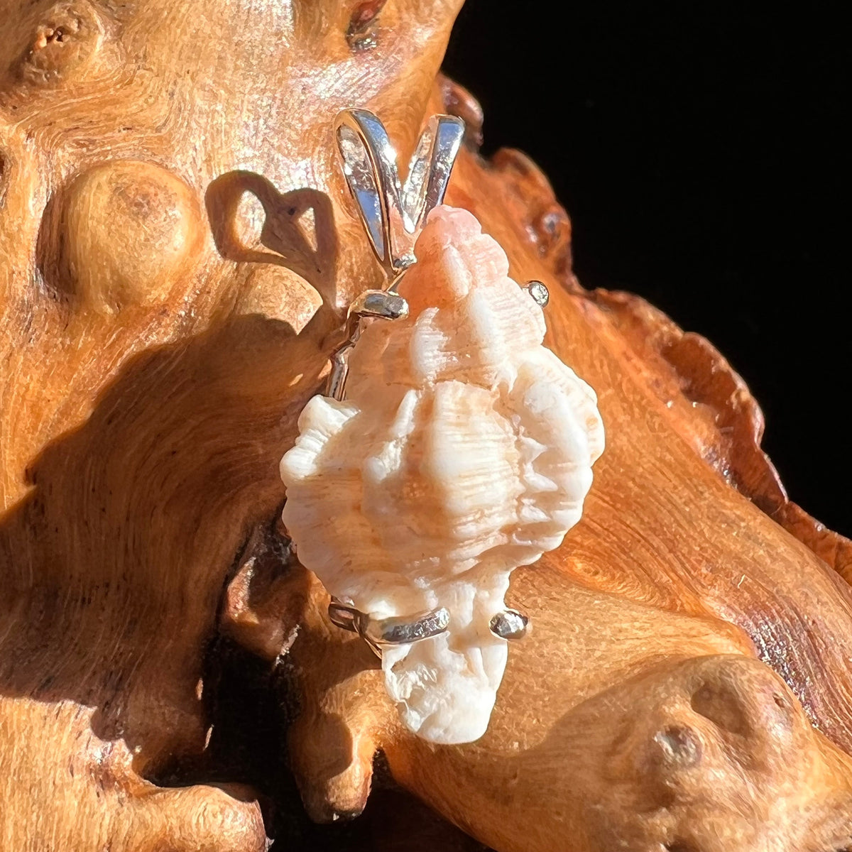 Shell Pendant Sterling Silver Natural Seashell #3469-Moldavite Life