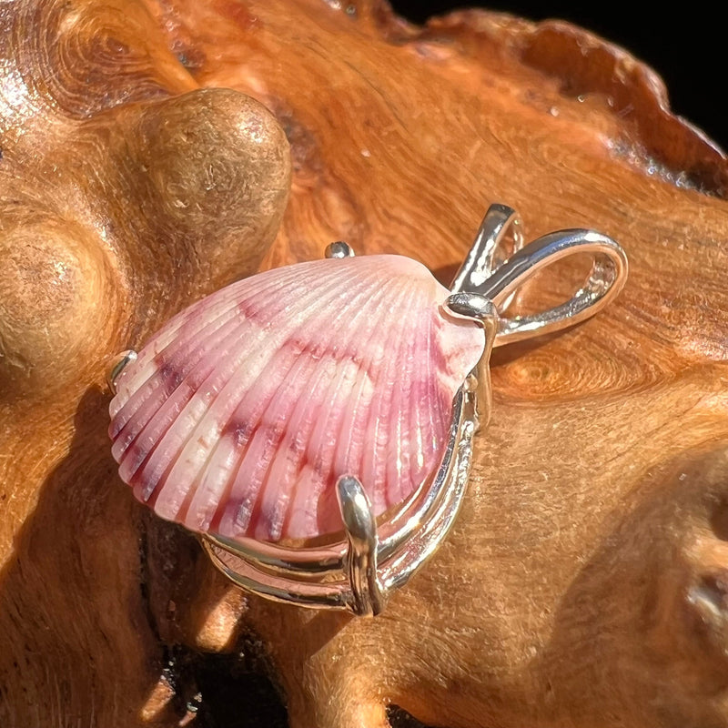 Shell Pendant Sterling Silver Natural Seashell #3472-Moldavite Life