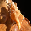 Shell Pendant Sterling Silver Natural Seashell #3477-Moldavite Life