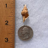 Shell Pendant Sterling Silver Natural Seashell #3477-Moldavite Life