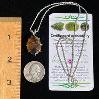 Smoky Citrine Phantom & Moldavite Necklace Sterling #2438-Moldavite Life