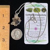 Smoky Citrine Phantom & Moldavite Necklace Sterling #2439-Moldavite Life