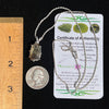 Smoky Citrine Phantom & Moldavite Necklace Sterling #2448-Moldavite Life
