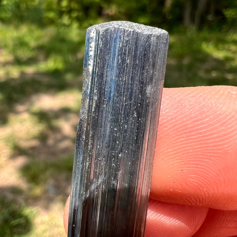 Stibnite Crystal #11-Moldavite Life