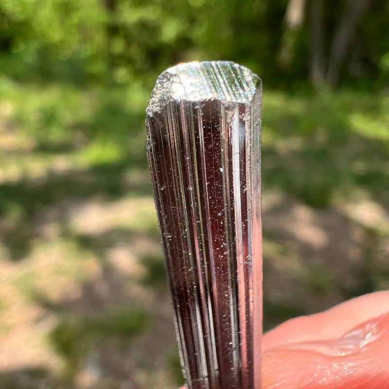 Stibnite Crystal #12-Moldavite Life