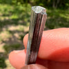 Stibnite Crystal #13-Moldavite Life