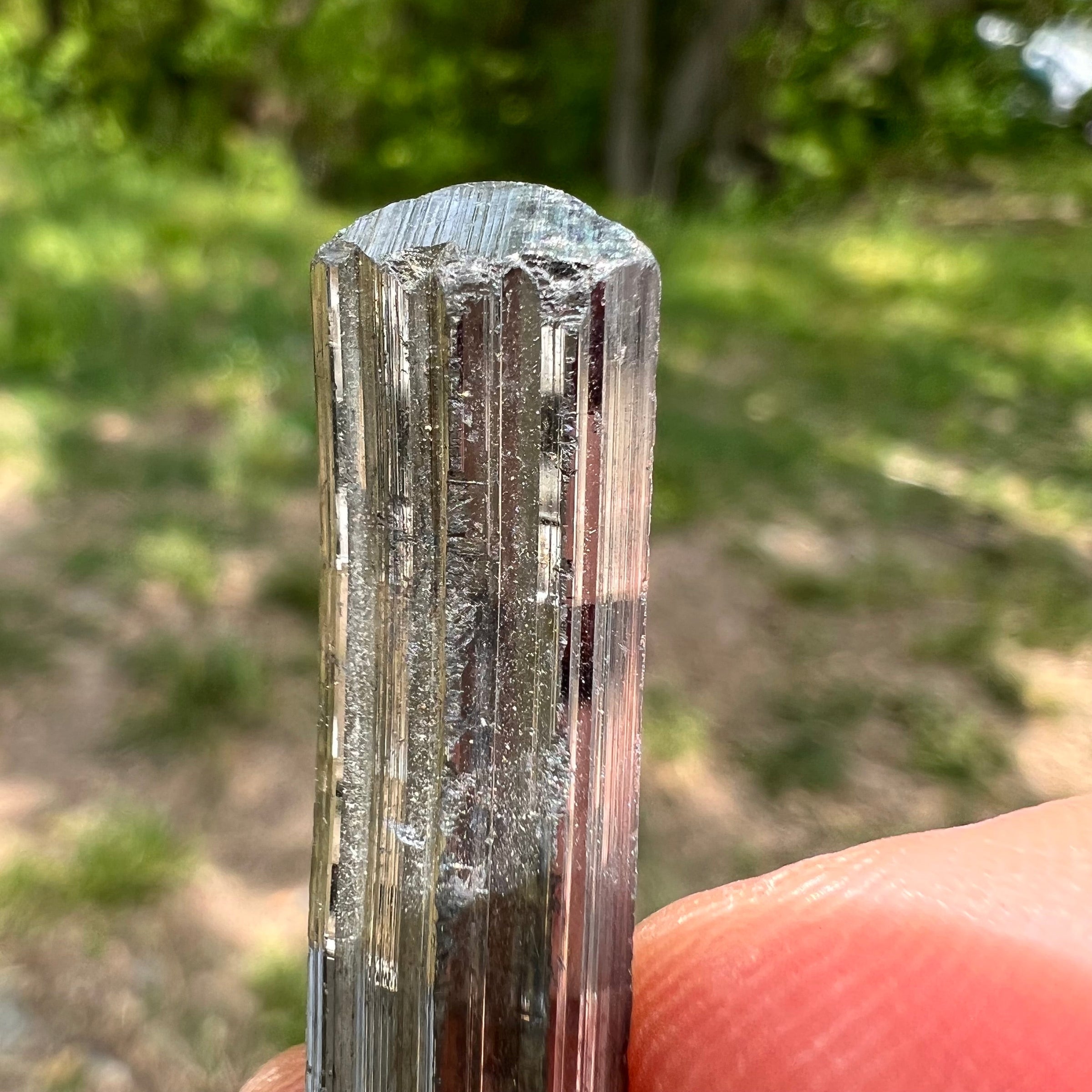 Stibnite Crystal #2-Moldavite Life