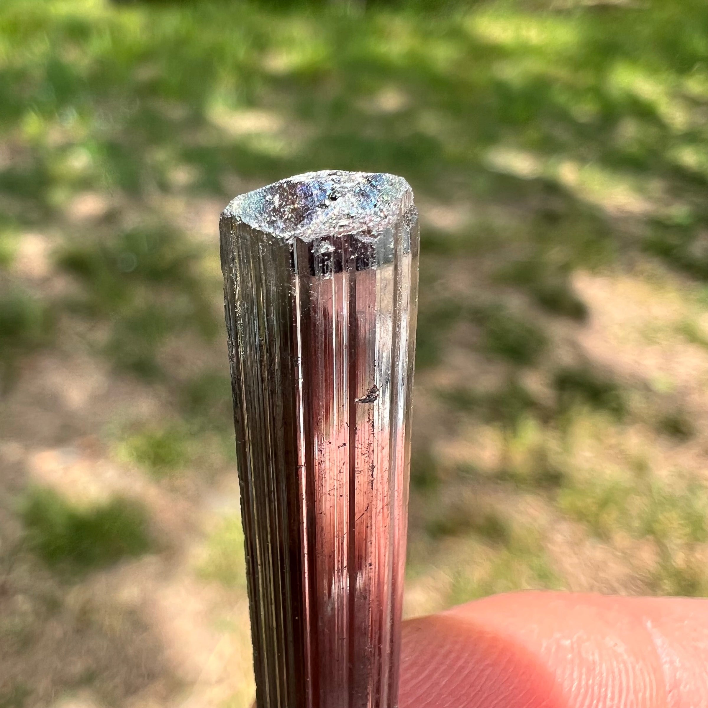 Stibnite Crystal #3-Moldavite Life