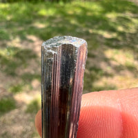 Stibnite Crystal #6-Moldavite Life