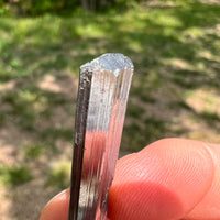 Stibnite Crystal #7-Moldavite Life