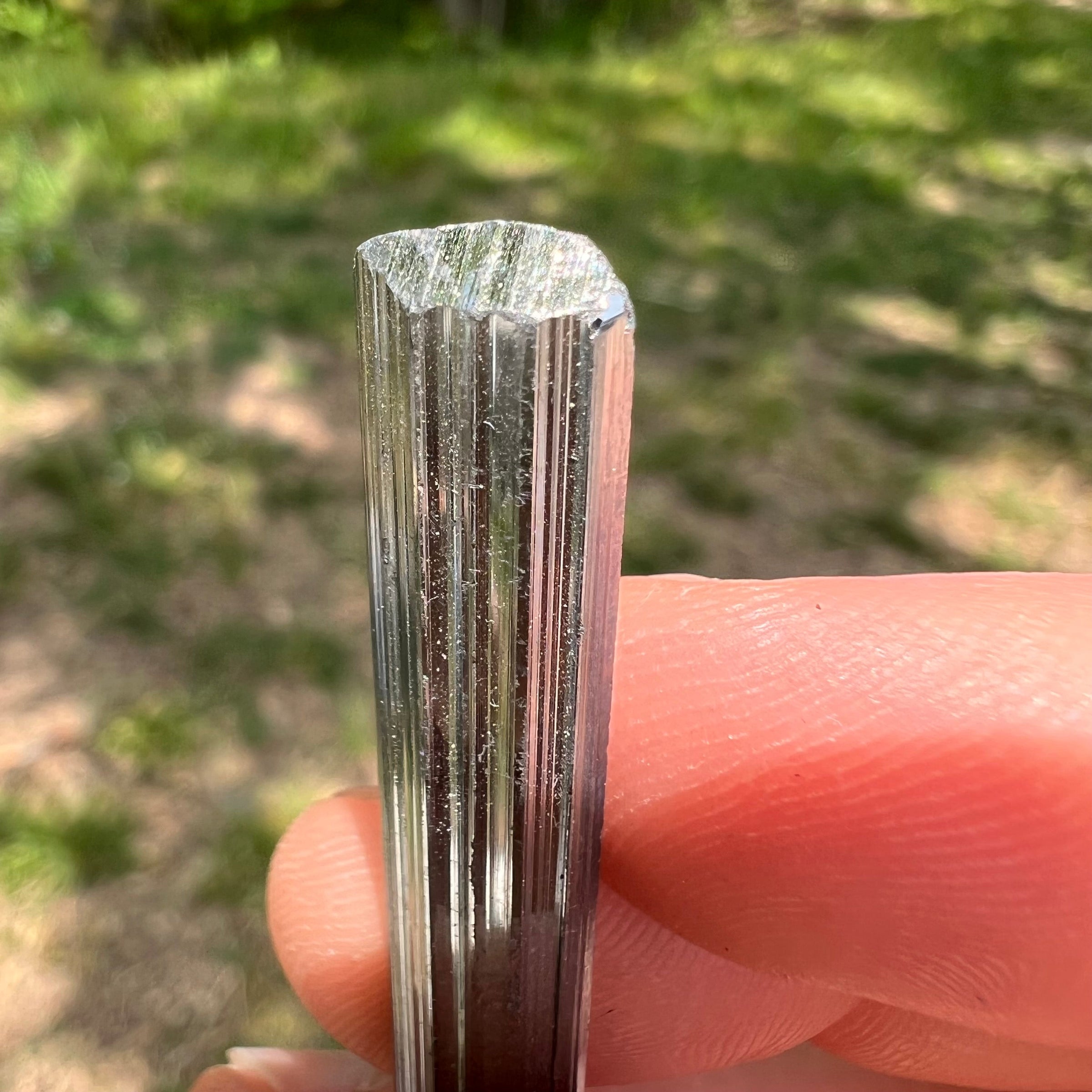 Stibnite Crystal #9-Moldavite Life