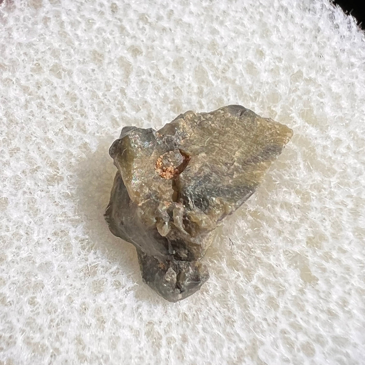 Tatahouine Meteorite 0.7 grams #58-Moldavite Life
