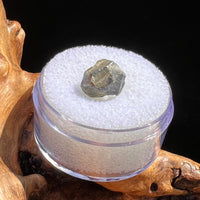 Tatahouine Meteorite 0.9 grams #59-Moldavite Life