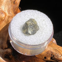 Tatahouine Meteorite 1 gram #51-Moldavite Life