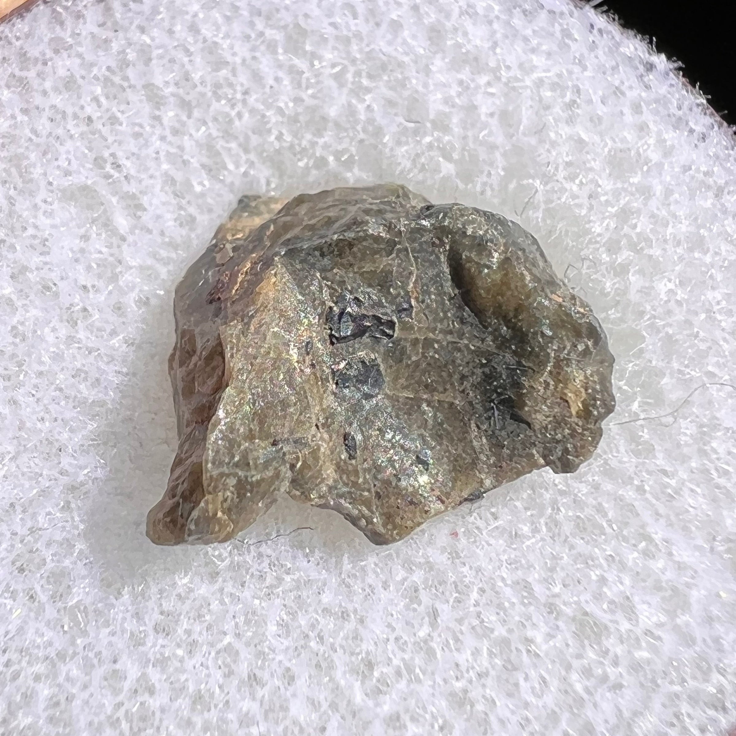 Tatahouine Meteorite 1 gram #55-Moldavite Life