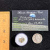 Tatahouine Meteorite 1 gram #55-Moldavite Life