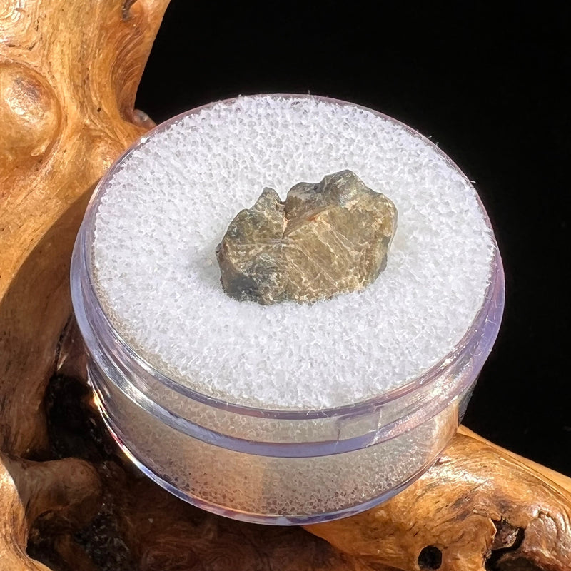 Tatahouine Meteorite 1.1 grams #57-Moldavite Life