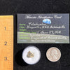 Tatahouine Meteorite 1.1 grams #65-Moldavite Life