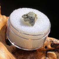 Tatahouine Meteorite 1.1 grams #79-Moldavite Life
