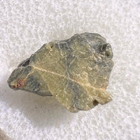 Tatahouine Meteorite 1.2 grams #56-Moldavite Life