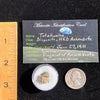 Tatahouine Meteorite 1.2 grams #81-Moldavite Life
