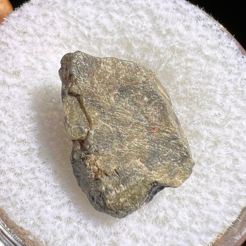 Tatahouine Meteorite 1.3 grams #78-Moldavite Life