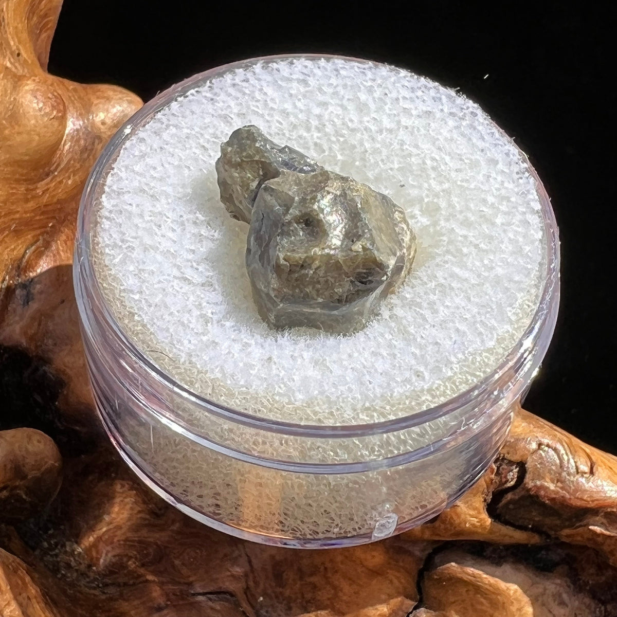 Tatahouine Meteorite 1.6 grams #66-Moldavite Life