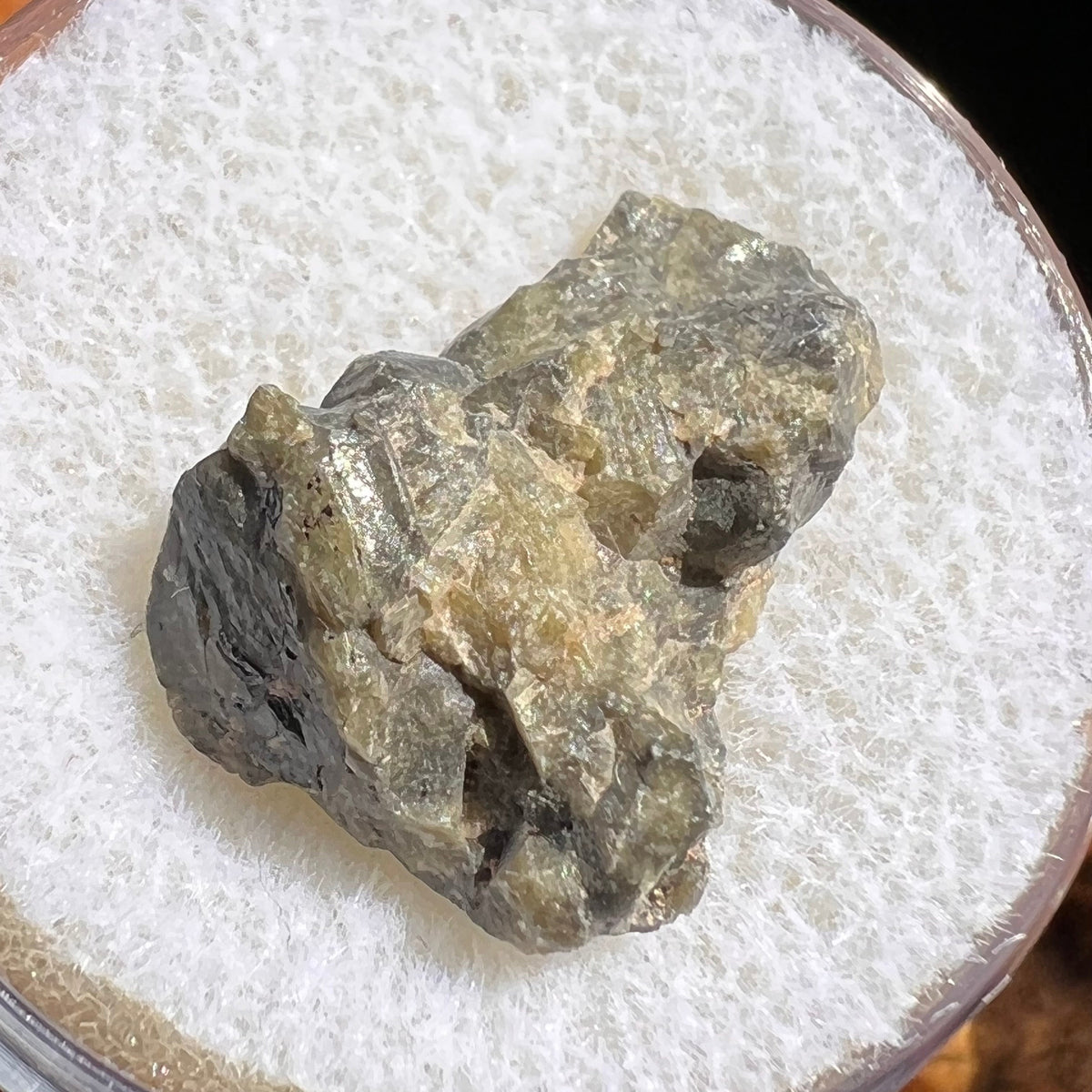 Tatahouine Meteorite 1.6 grams #69-Moldavite Life