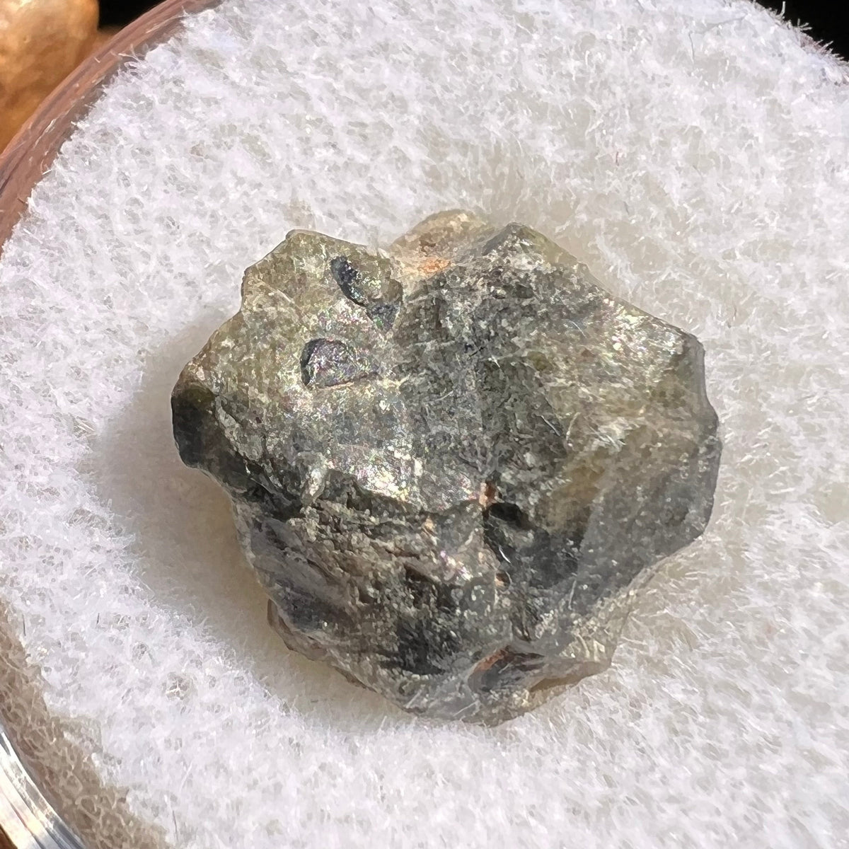 Tatahouine Meteorite 1.7 grams #63-Moldavite Life