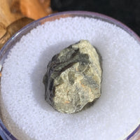 Tatahouine Meteorite 43-Moldavite Life