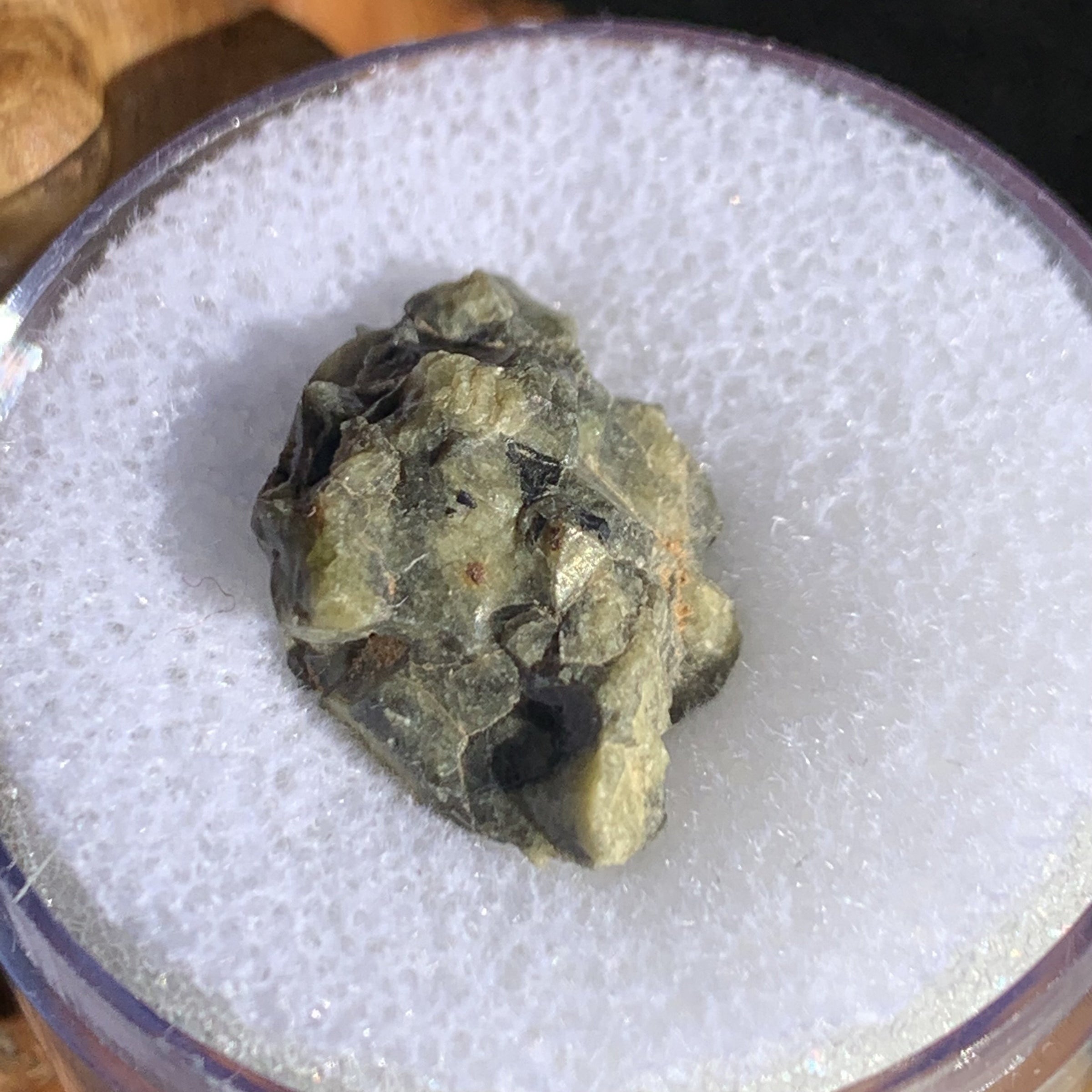 Tatahouine Meteorite 44-Moldavite Life