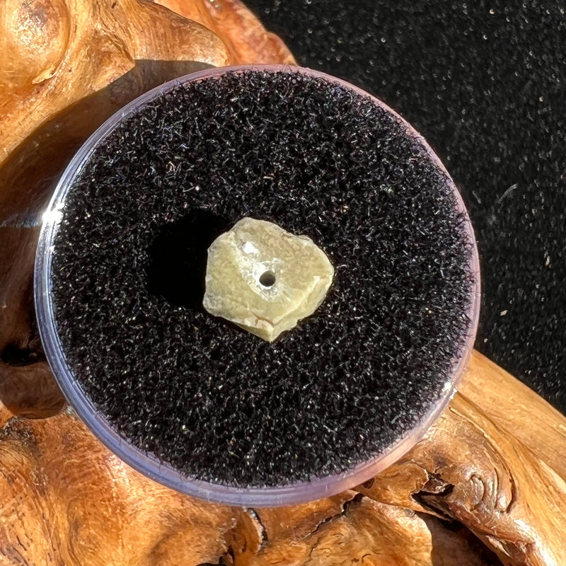 Tatahouine Meteorite Bead Natural #10-Moldavite Life