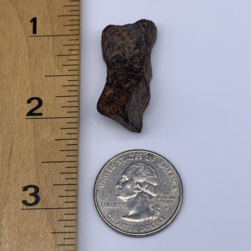 Agoudal Imilchil Meteorite 18.2 grams 1-Moldavite Life
