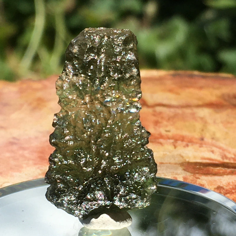 Angel Chime Moldavite Genuine Certified 3.5 Grams-Moldavite Life