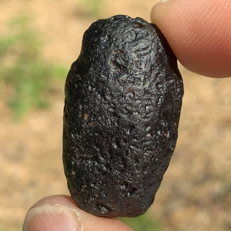 Australite Tektite 10 grams AU11-Moldavite Life