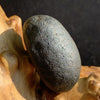 Australite Tektite 13.1 grams AU10-Moldavite Life
