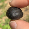 Australite Tektite 13.1 grams AU10-Moldavite Life