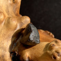 Australite Tektite 2.16 grams AU5-Moldavite Life