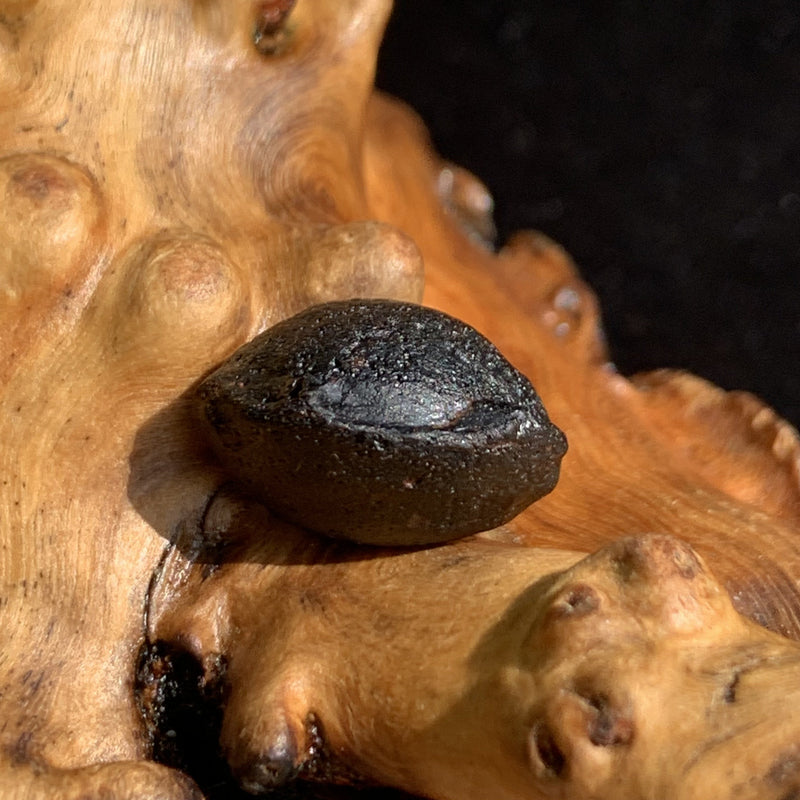 Australite Tektite 2.16 grams AU5-Moldavite Life