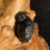 Australite Tektite 2.8 grams AU14-Moldavite Life