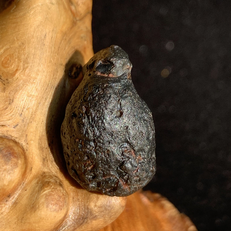 Australite Tektite 2.8 grams AU14-Moldavite Life