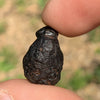 Australite Tektite 2.8 grams AU14-Moldavite Life