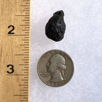 Australite Tektite 2.8 grams AU14-Moldavite Life