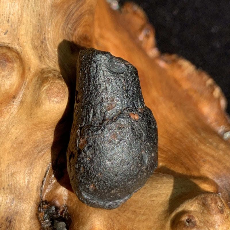 Australite Tektite 3.7 grams AU15-Moldavite Life